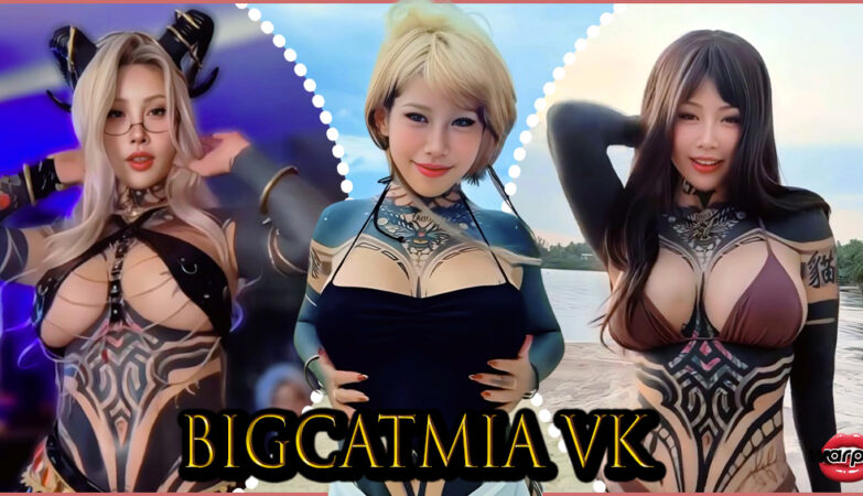 Bigcatmia vk